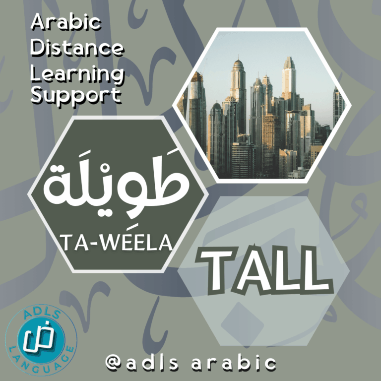 English Mandarin or Arabic